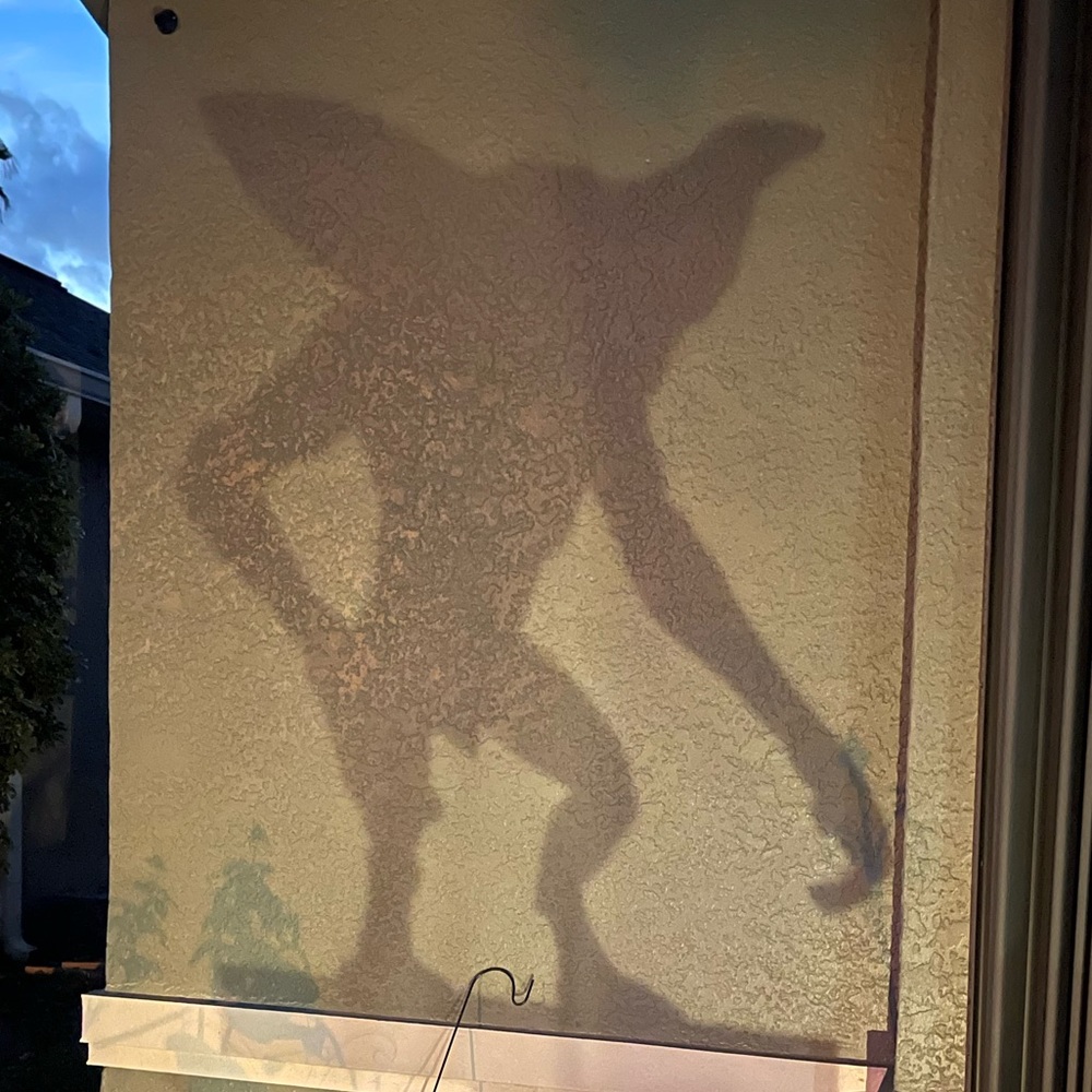 Gremlin shadow caster - Picture 3 of 3